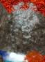 participation_au_projet:cartes:capt110814h172152007.jpg