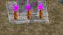 participation_au_projet:cartes:capt110919124603039.jpg