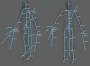 participation_au_projet:graphismes:bones_medium.jpg