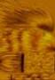 participation_au_projet:graphismes:texture_cheveux.jpg